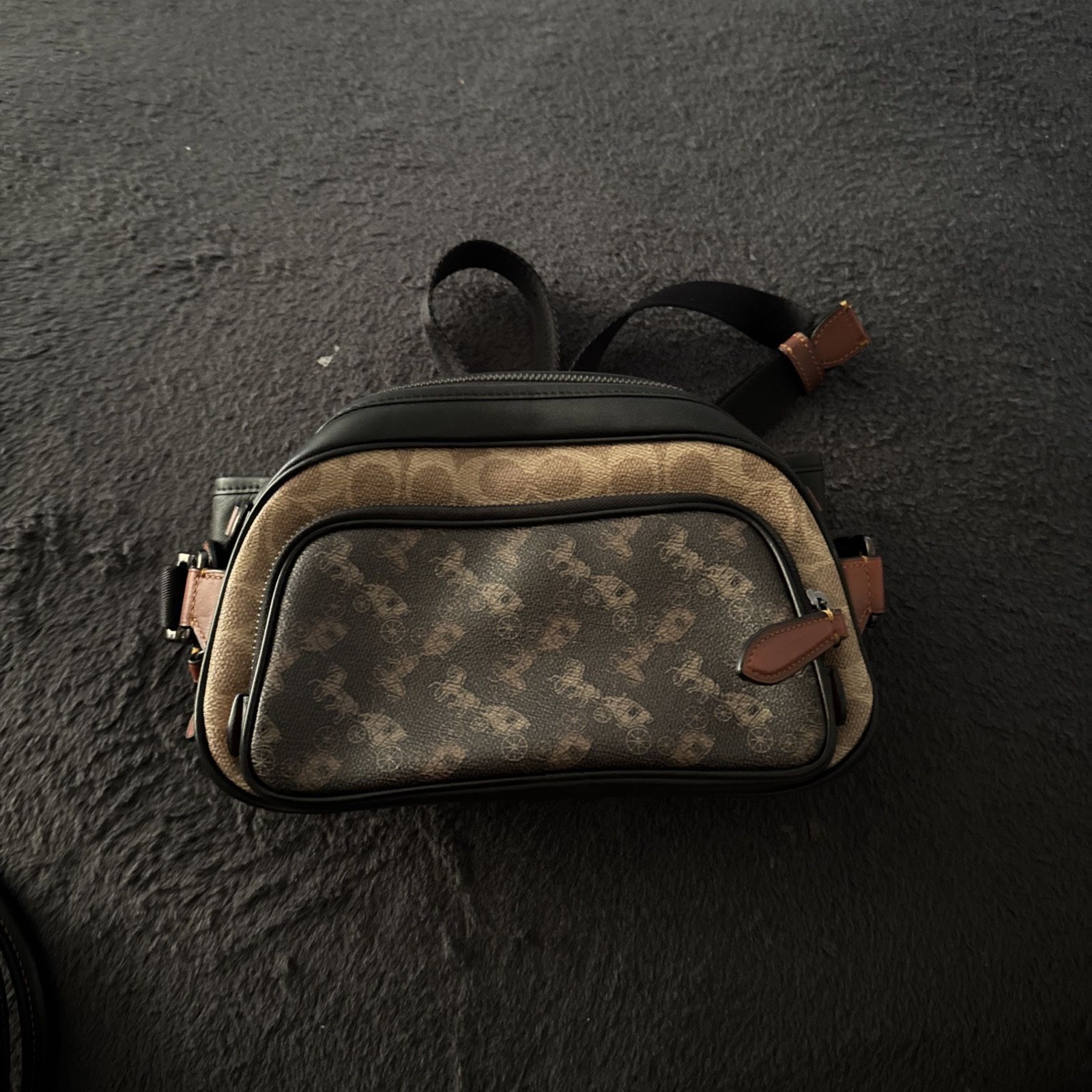 Coach Belt Bag