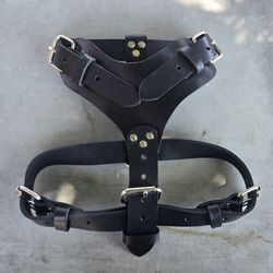 Dog Harness