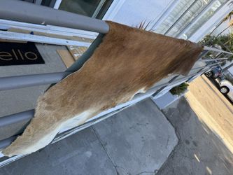 Beautiful Tan Cowhide Rug