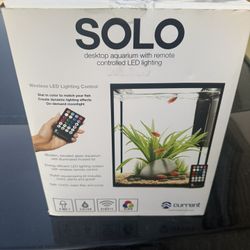 Solo Desktop Aquarium