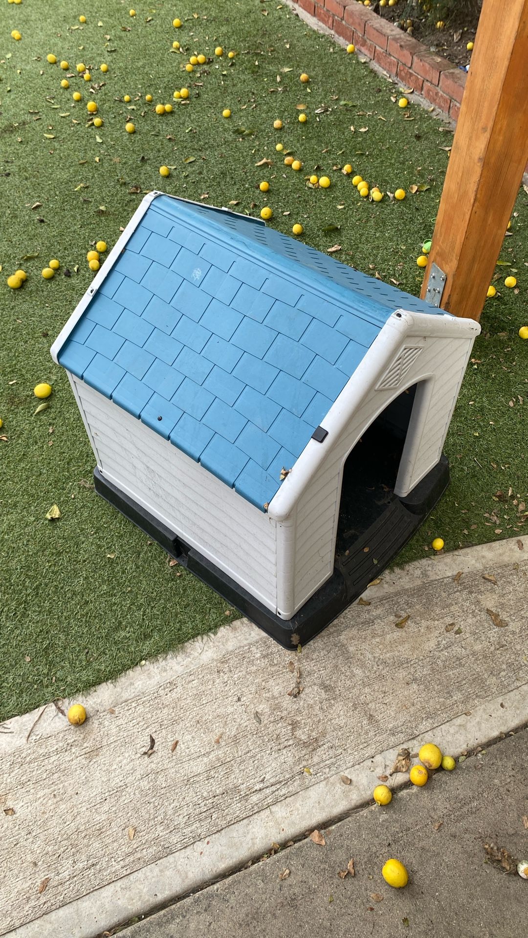 Dog House For Small Dog