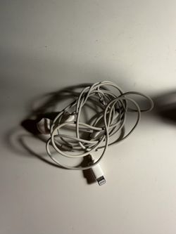Apple EarPods with Lightning Connector – Original Case