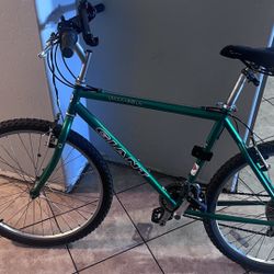 Giant Mountain Bike 