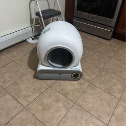 Cat liter
