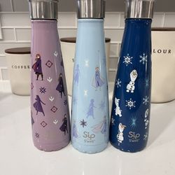 Frozen Sip By Swell Water Bottles 