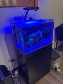Complete Reef Aquarium Setup – Tank, Stand, LED, Filtration & Supplies