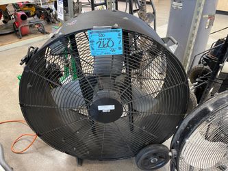 Fan