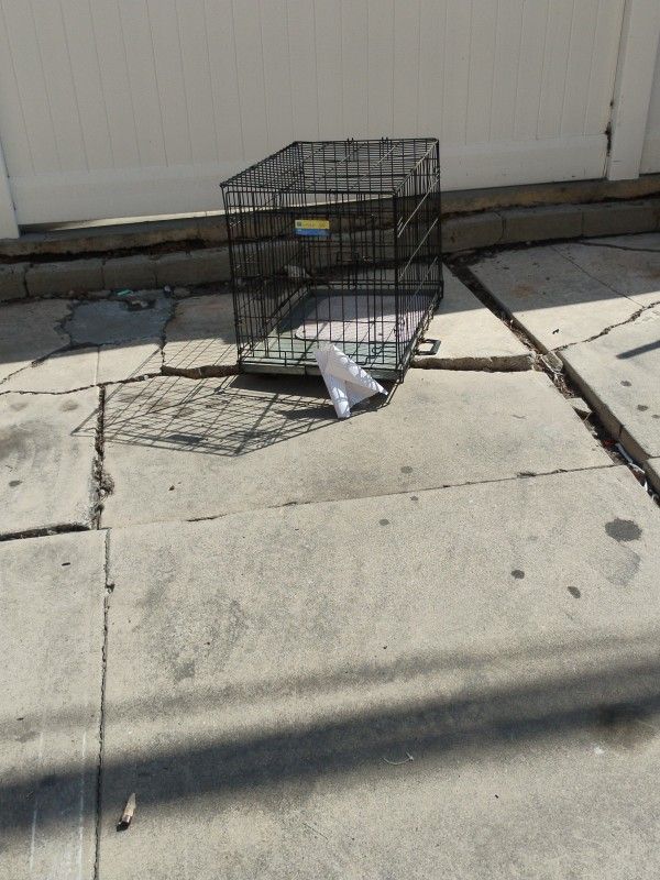 Dog Kennel