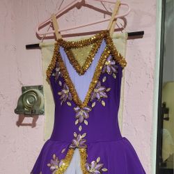 Disney Sofia Costume Size 9-10