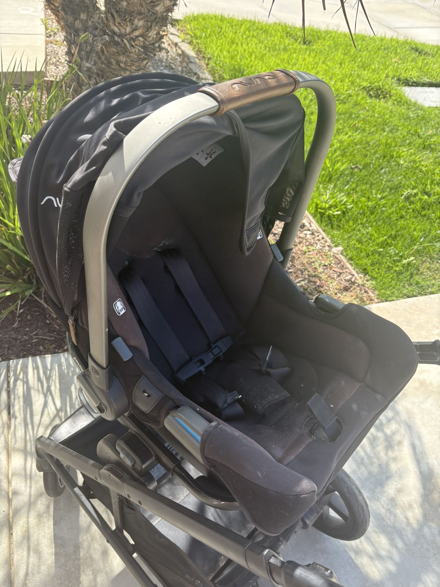 Nuna Infant Car seat 