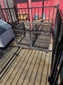 Dog Kennel