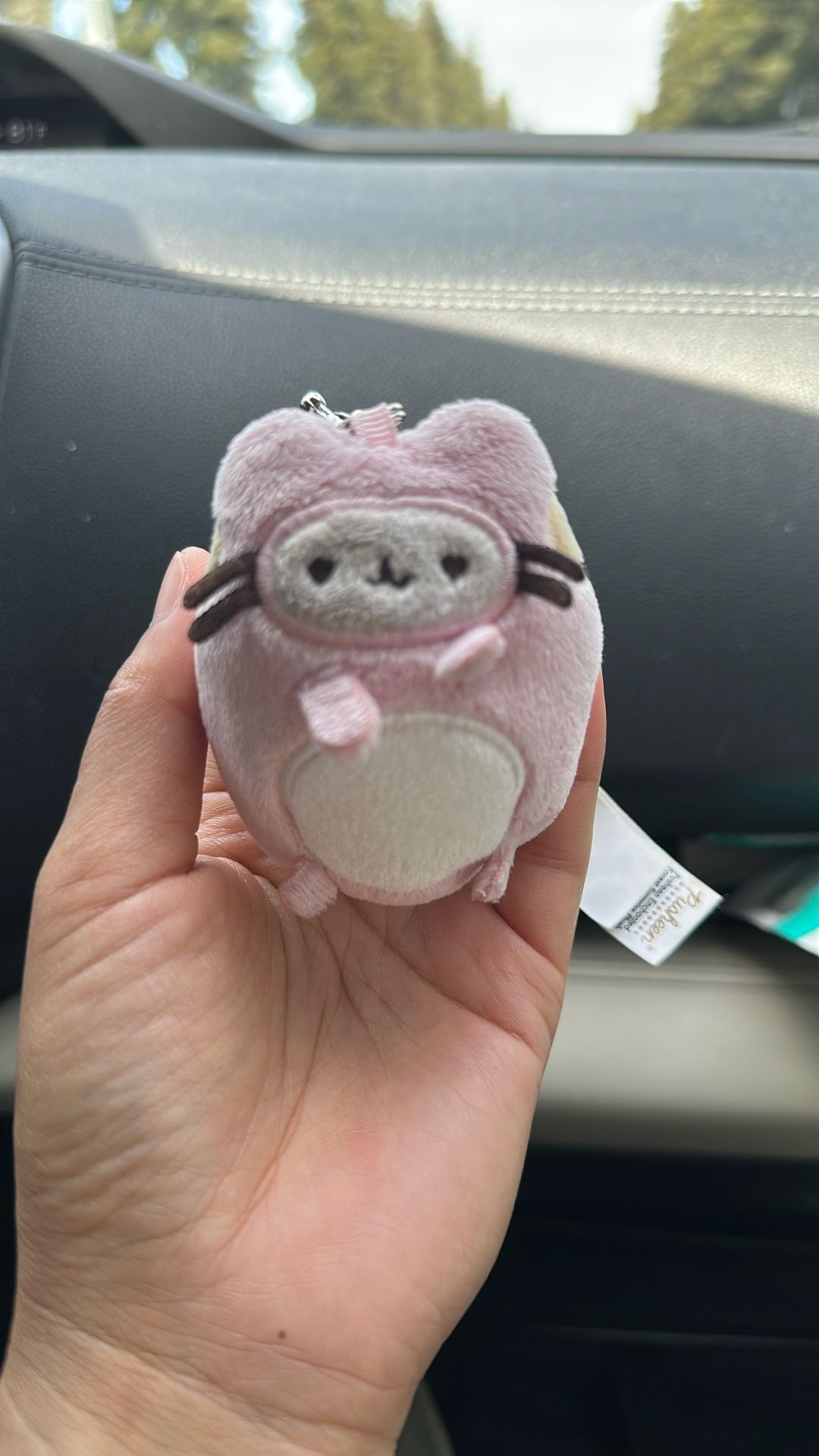 Pink cute Tiny Pusheen keychain