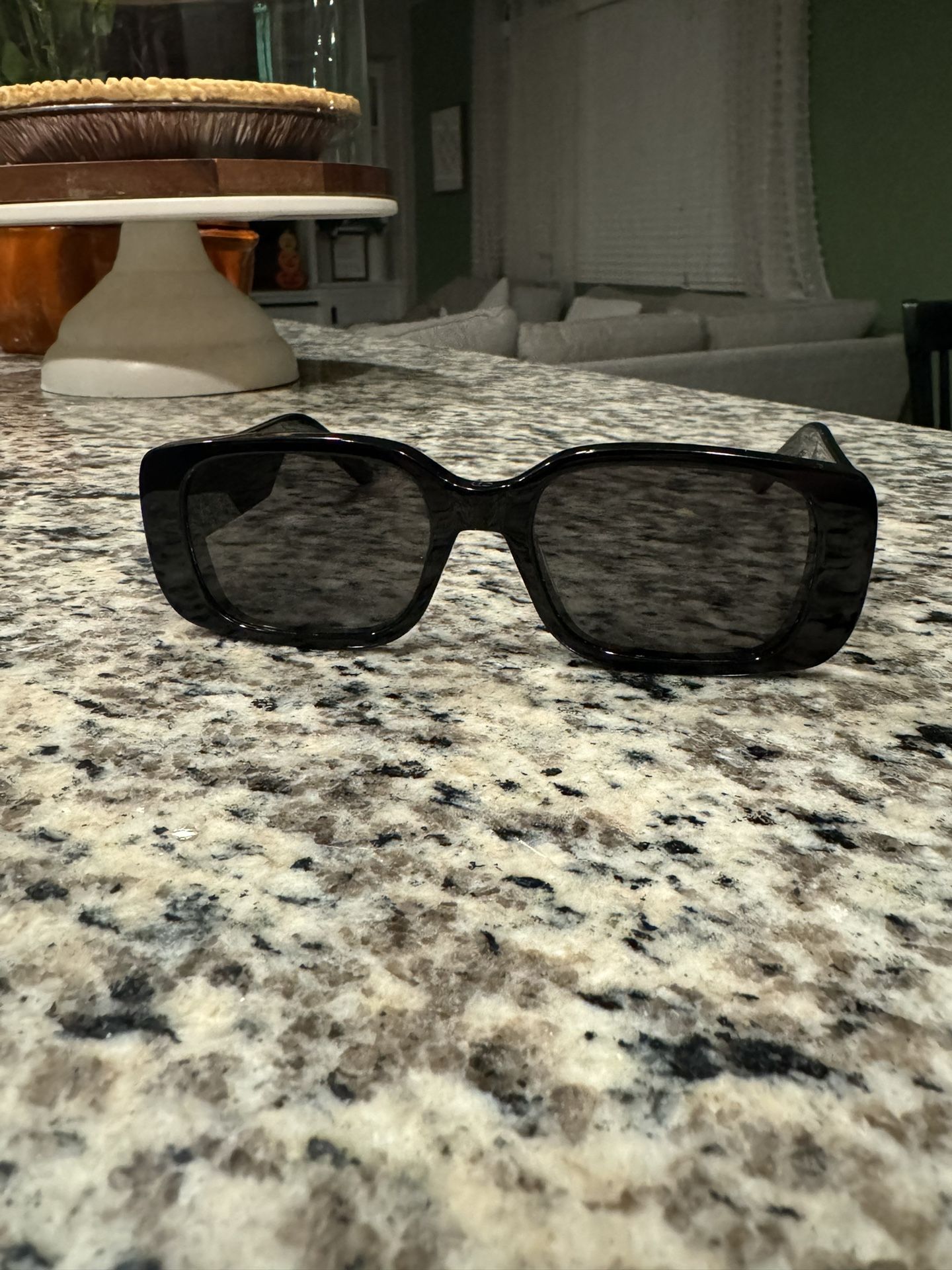 Dior Wildior S2U SunGlasses