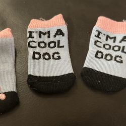 Socks For Pets
