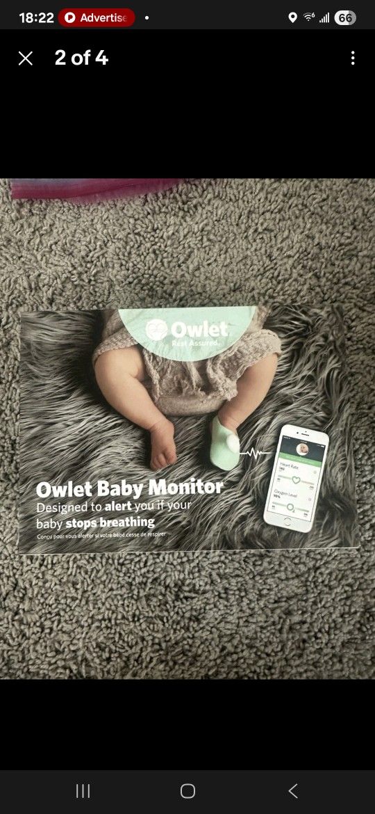 Owlet