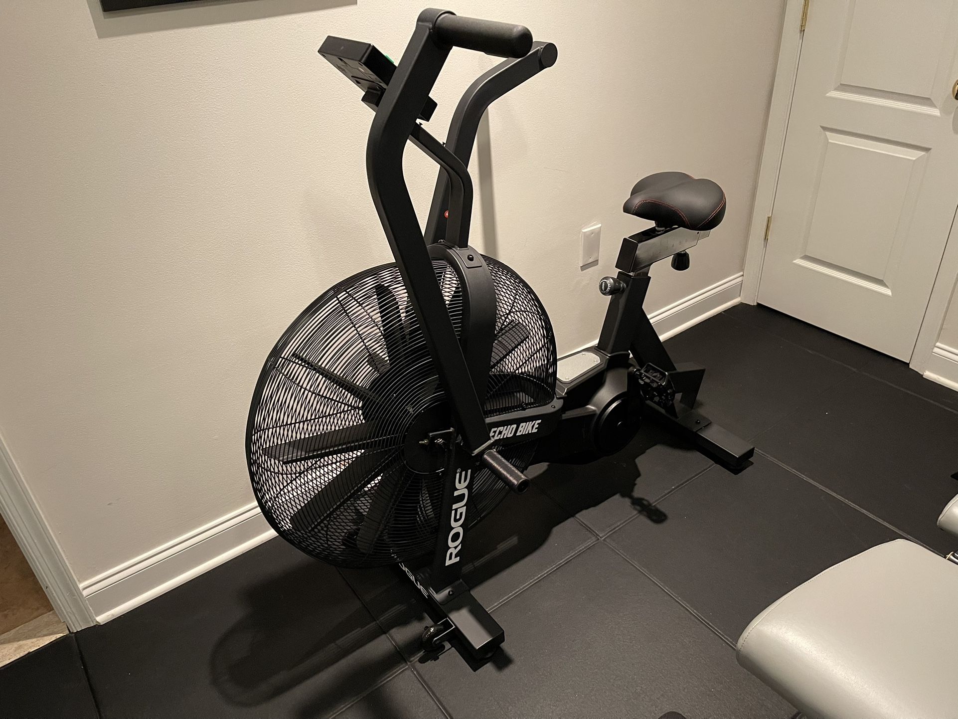 🔥 Rogue Echo Bike - Elite Air Assault Resistance!