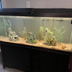 55 Gallon Aquarium with Filter and Decorations 