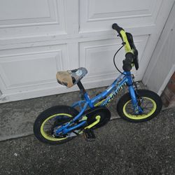12 In Bike