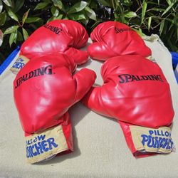 Spalding Boxing Gloves-