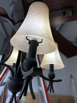 Elegant Ceiling Fan/Light Fixture