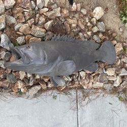 Large Fish Mount 
