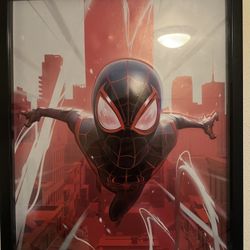 Spider-Man Poster