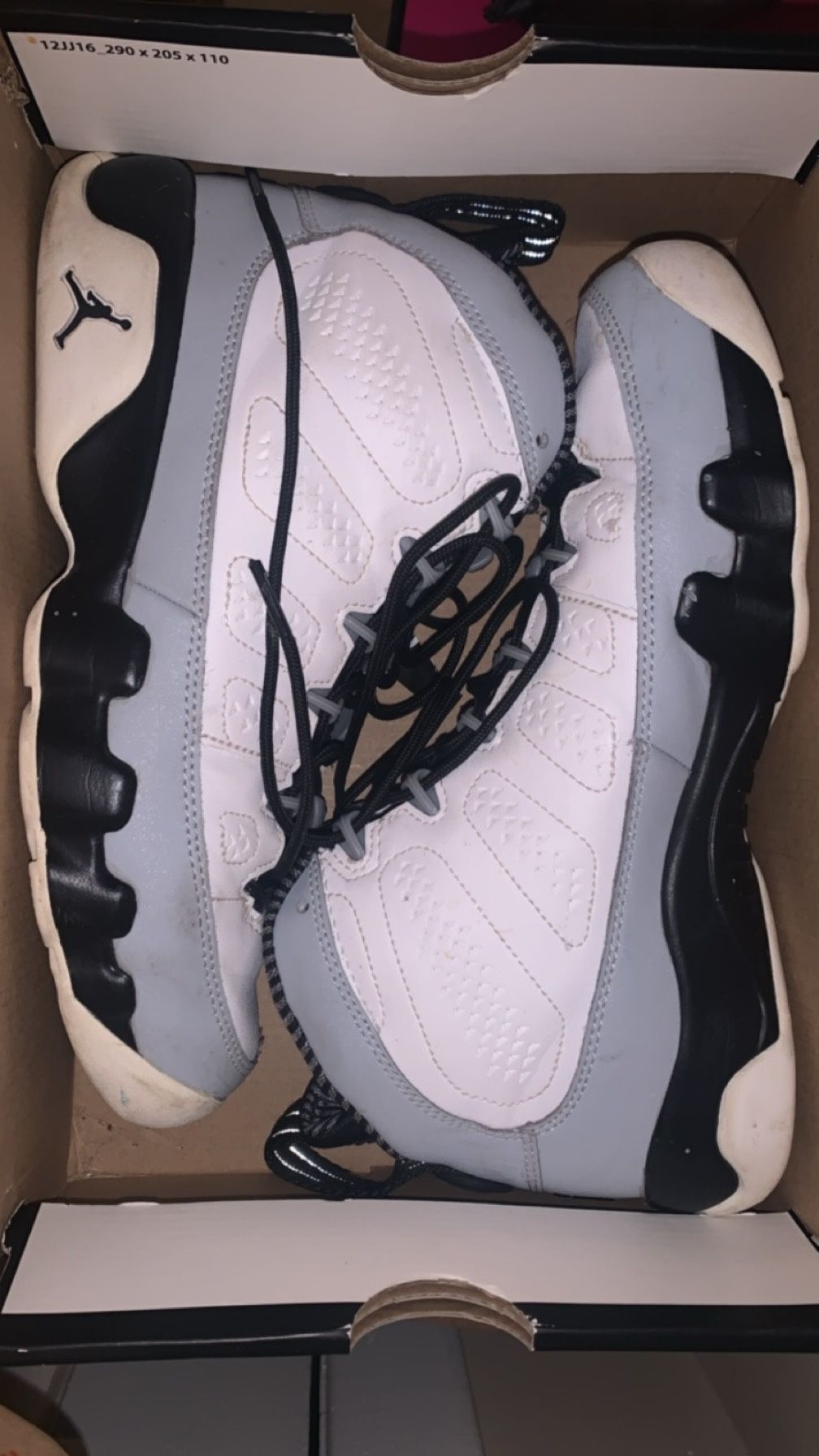 Air Jordan 9  “Barons” 