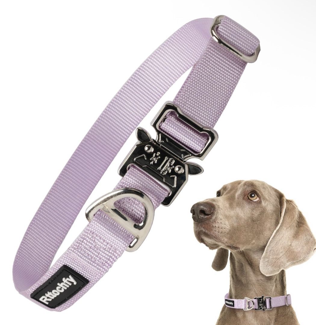 Purple Collar