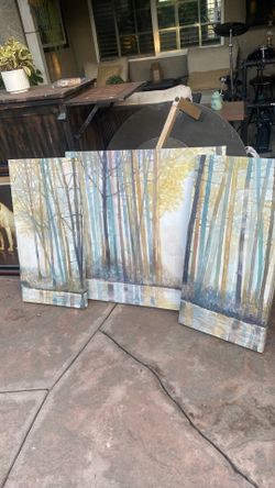 picture frames