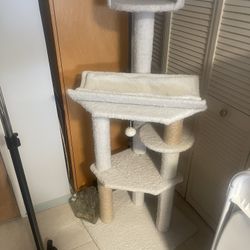 For Cats 