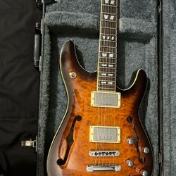 Schecter Guitar 