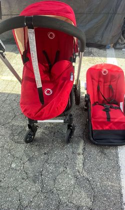 Bugaboo frogs