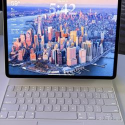 iPad Pro 12.9” 5th Gen 256GB