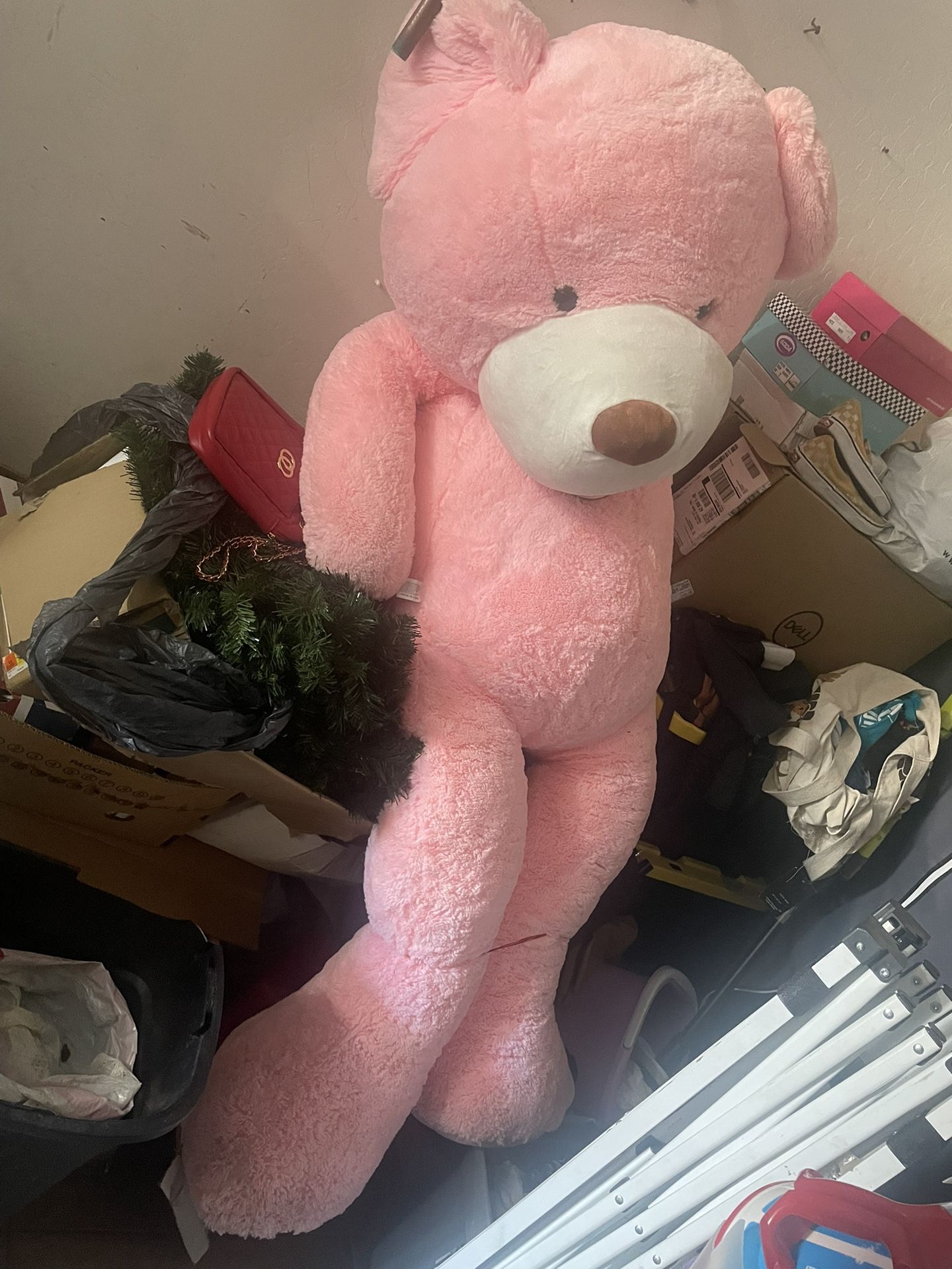 Huge Teddy Bear