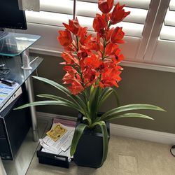 Fake Plant 