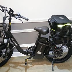 USED Like New Ebike - Wildeway FW11s