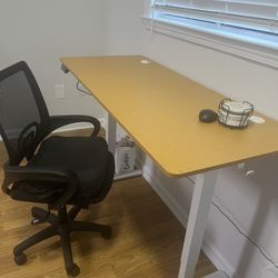 Electric Stand Up Desk