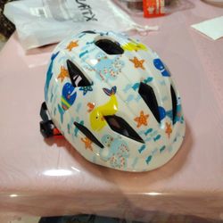 Helmet