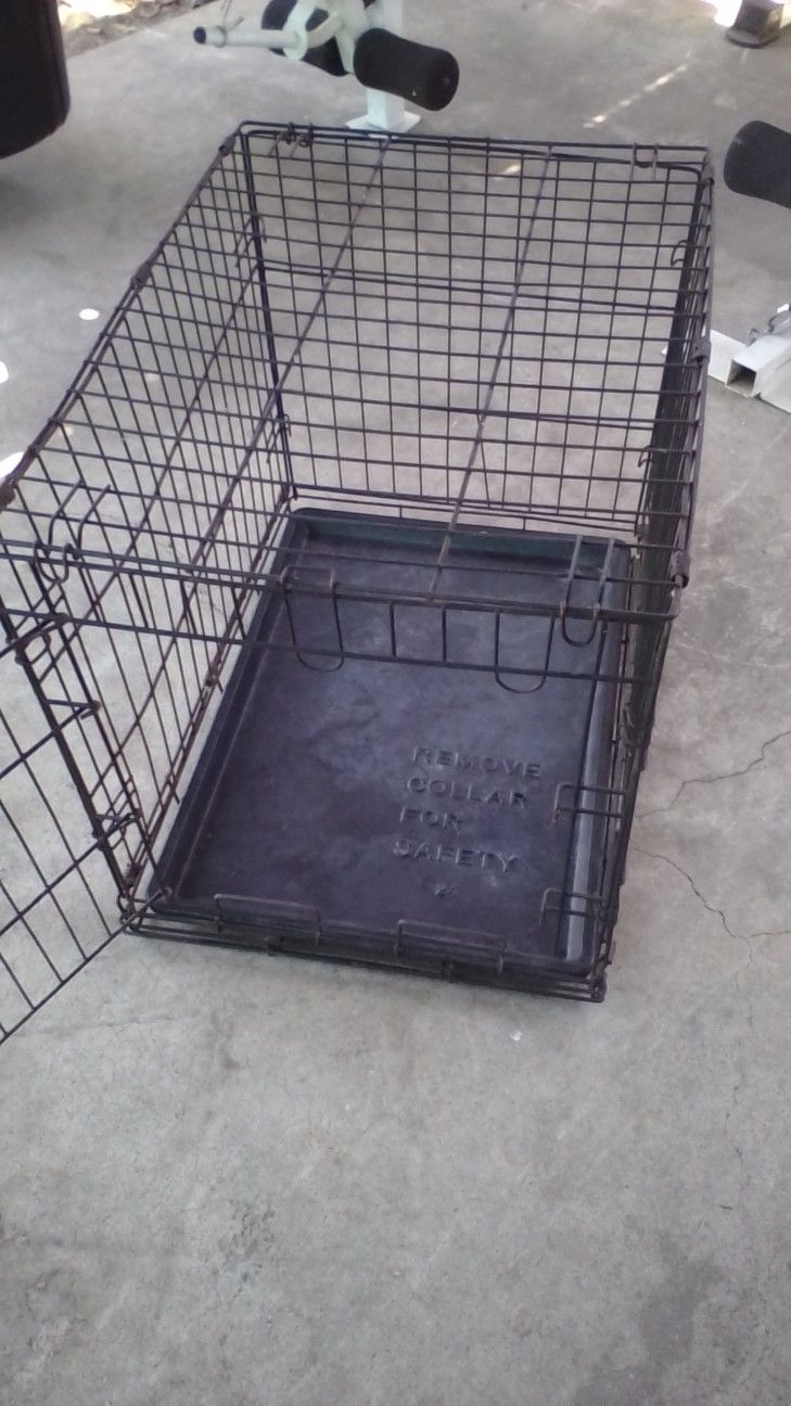 Dog Kennel