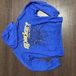 blue spider hoodie