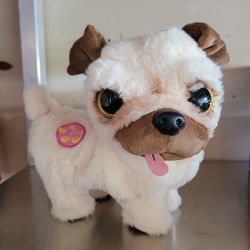 Dancing And Shaking Booty Puppy