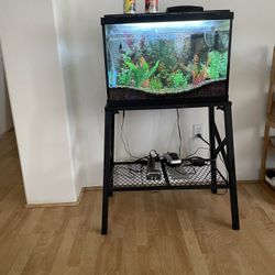 fishtank 