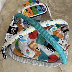 Baby Einstein Floor Matt Play Gym 
