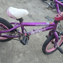 tony hawk 16in  w training wheels 