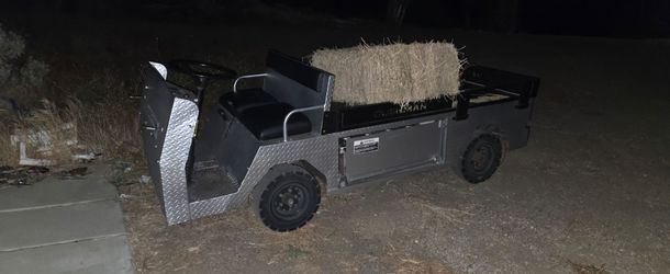 Cushman cart