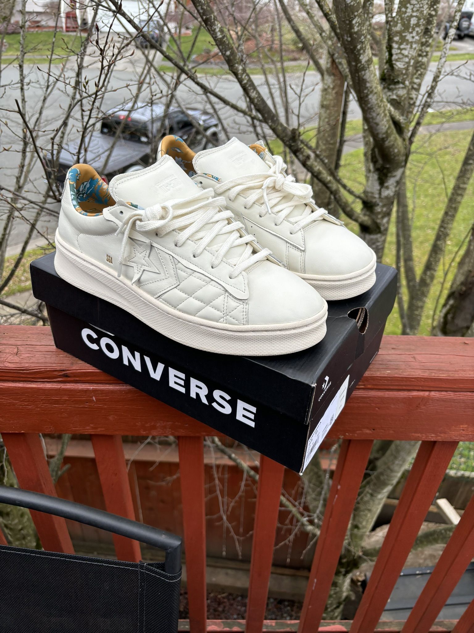 Shai Alexander Converse