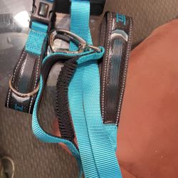 Collar & Lead For Dogs 