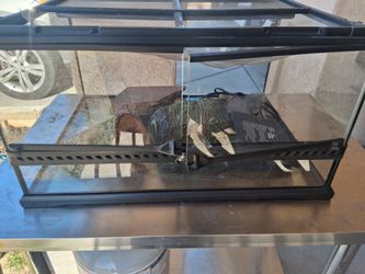 Gecko tank, animal enclosure