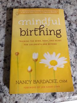 Mindful Birthing Book (used)