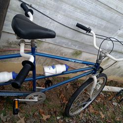 Team Sport Tandem Bike Vintage